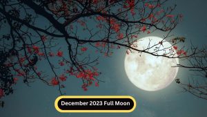 December 2023 Full Moon: Date, Time, & Science